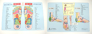 若石健康法公認の反射区図表